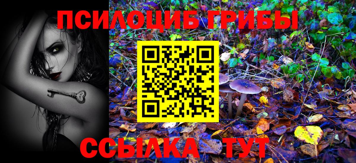 Псилоцибиновые грибы MAGIC MUSHROOMS  Псилоцибиновые грибы мухоморы  Вход с VPN  Кулебаки 